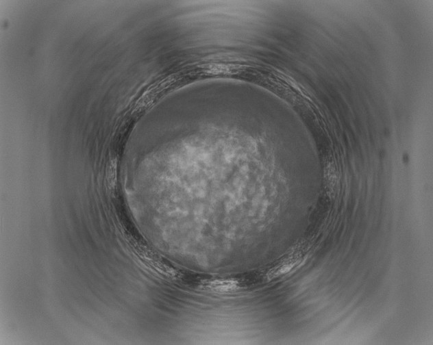 X0000067390554200604211636