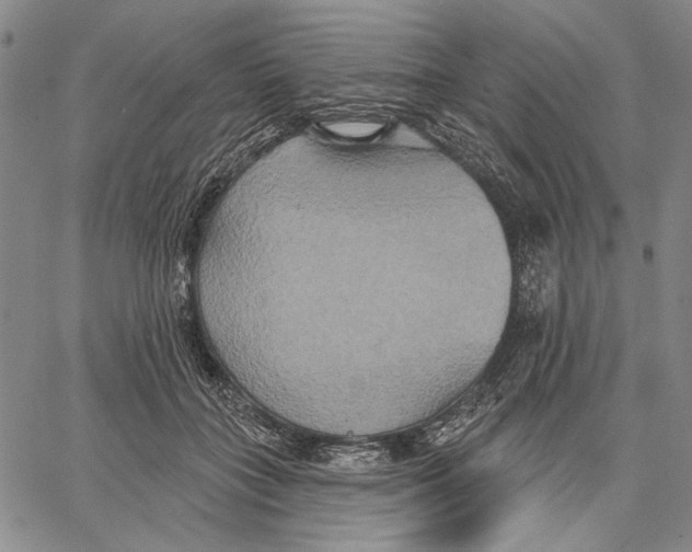 X0000067390555200604211636