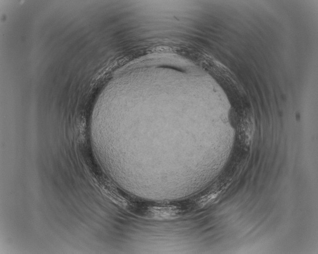 X0000067390556200604211636