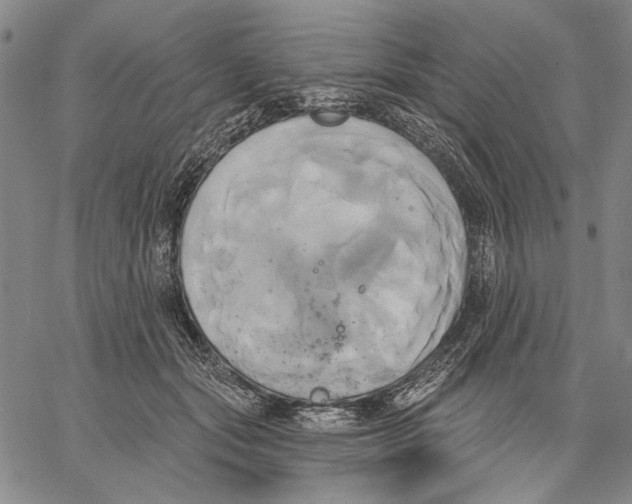 X0000067390557200604211636