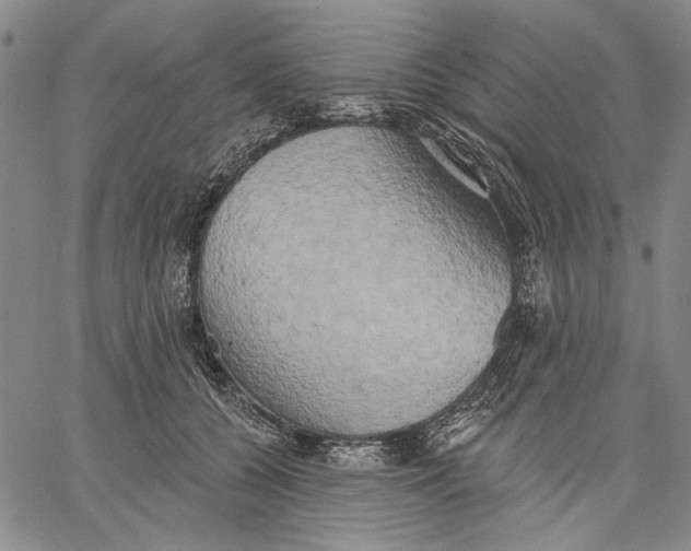 X0000067390560200604211636