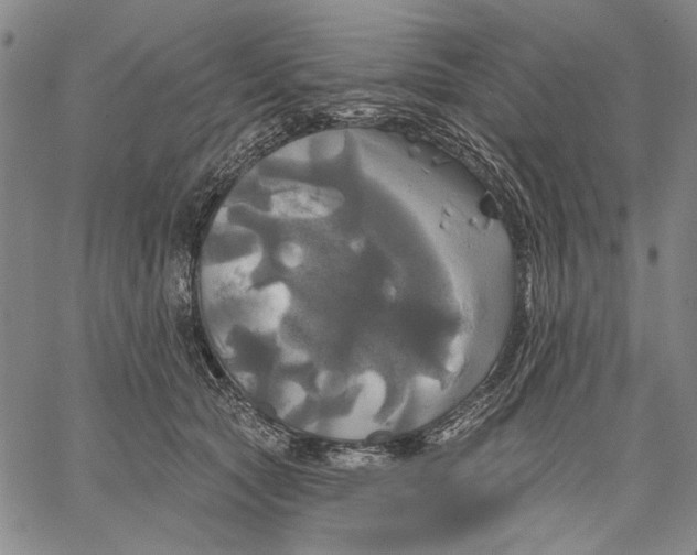 X0000067390561200604211636