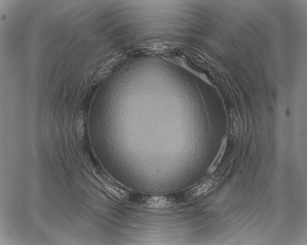 X0000067390562200604211636