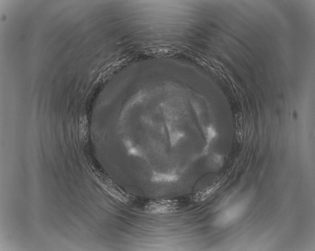 X0000067390563200604211636