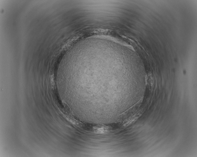 X0000067390564200604211636