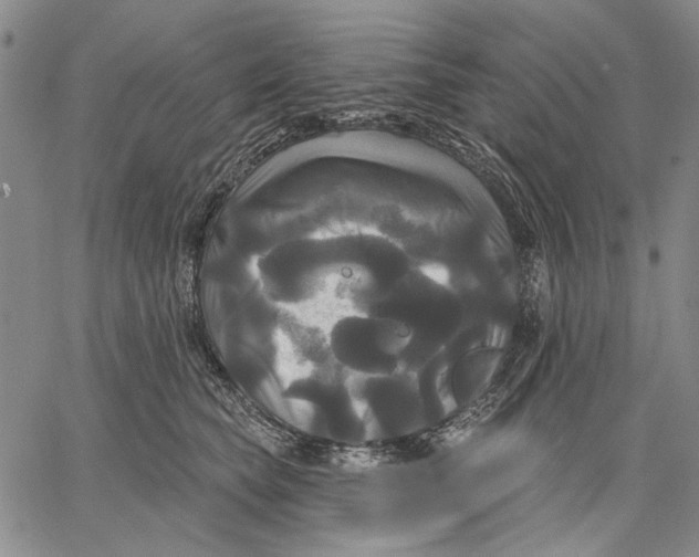 X0000067390565200604211636