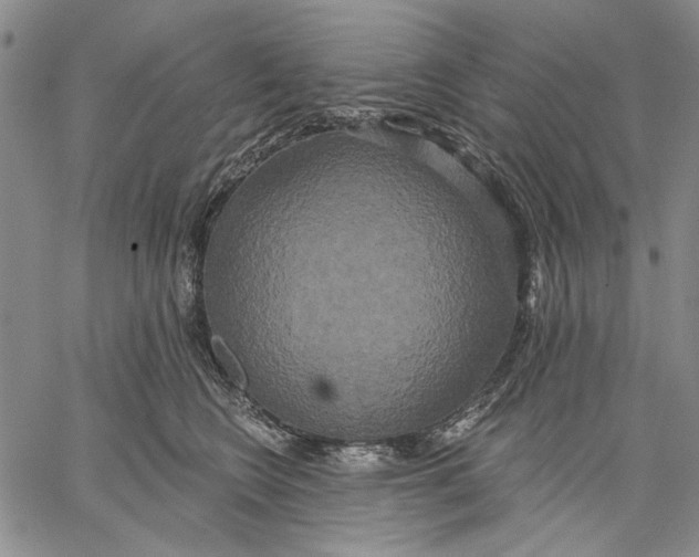 X0000067390566200604211636