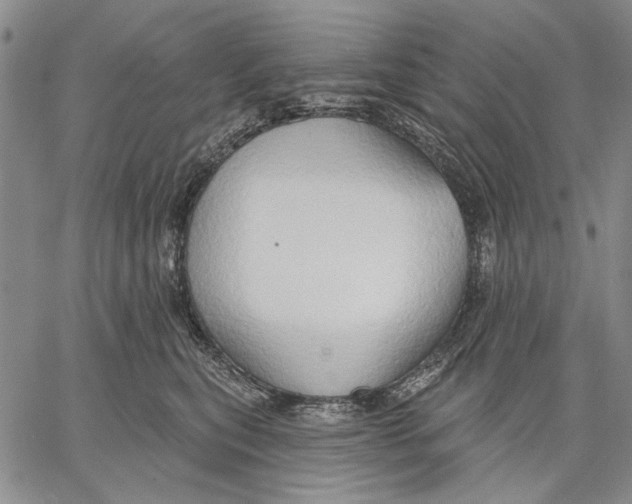 X0000067390567200604211636