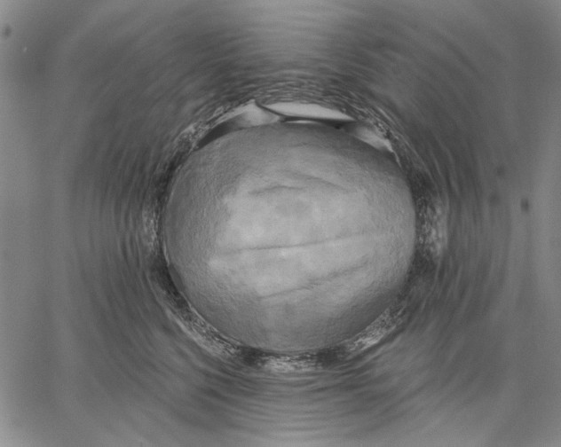 X0000067390568200604211636