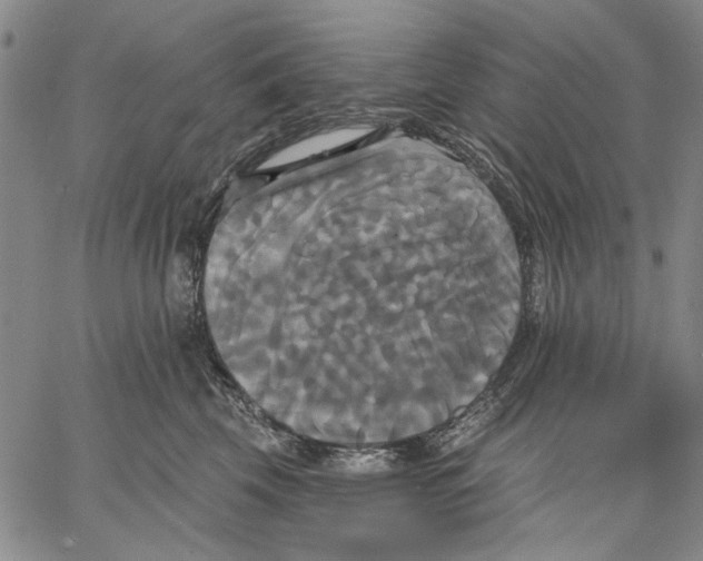 X0000067390569200604211636