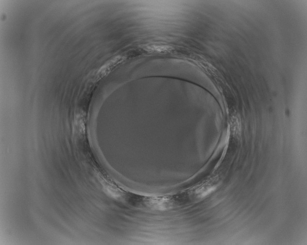 X0000067390570200604211636