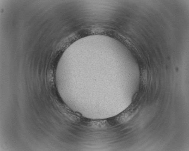 X0000067390571200604211636