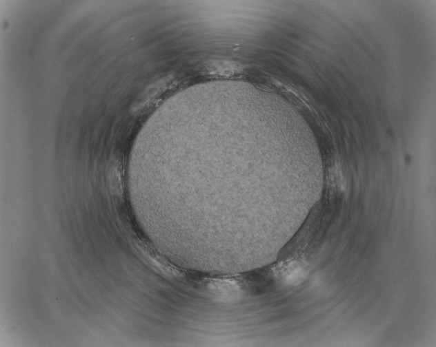 X0000067390572200604211636