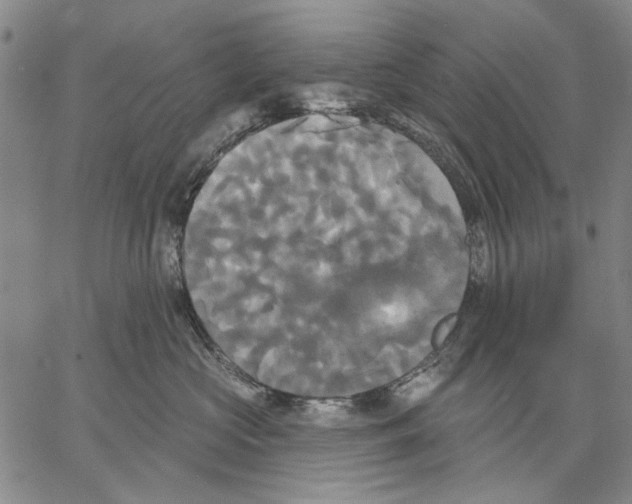 X0000067390573200604211636