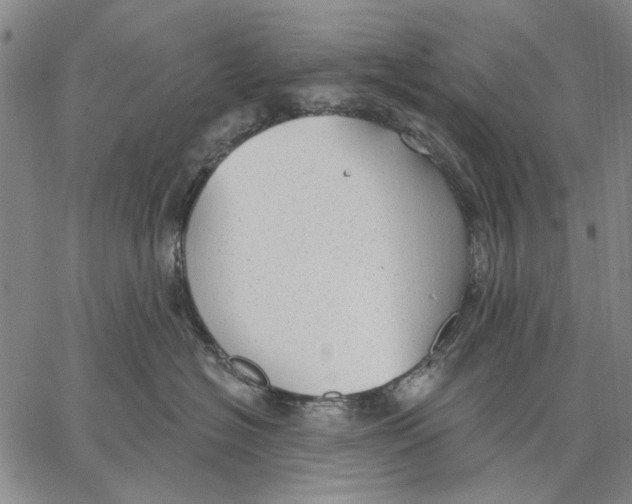 X0000067390574200604211636