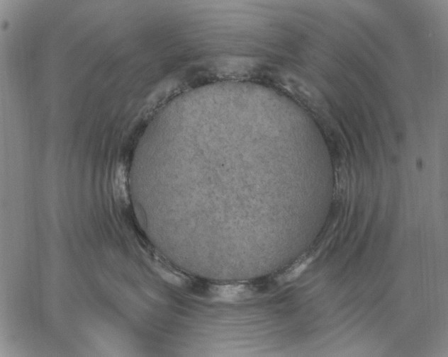 X0000067390575200604211636