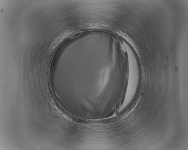 X0000067390577200604211636