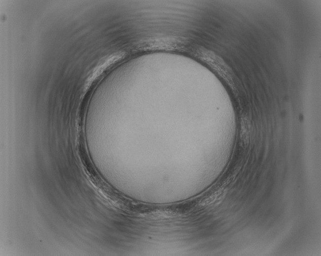 X0000067390578200604211636