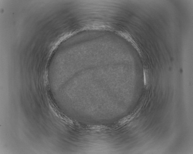 X0000067390579200604211636