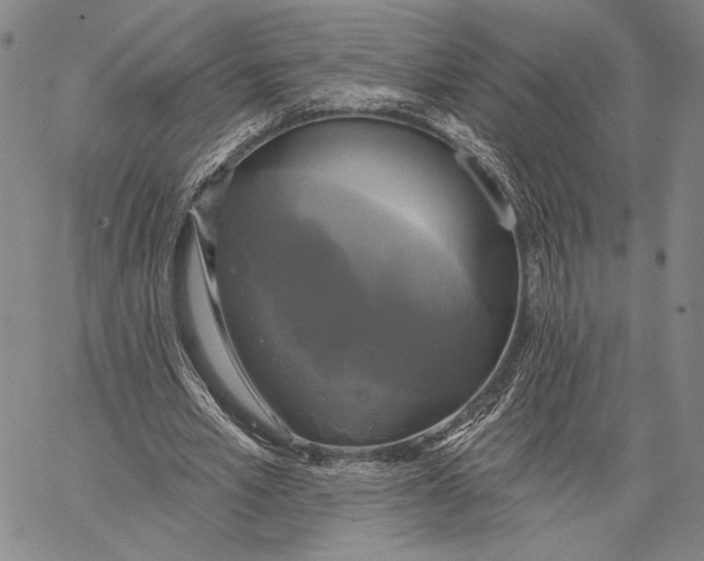 X0000067390581200604211636