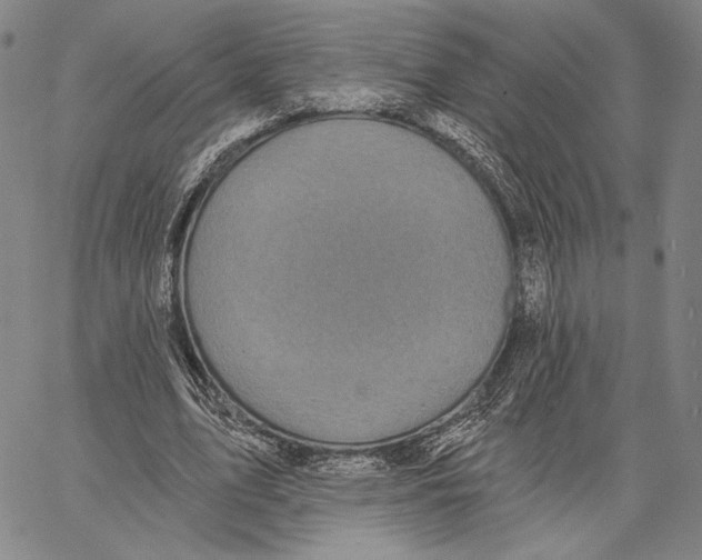 X0000067390583200604211636