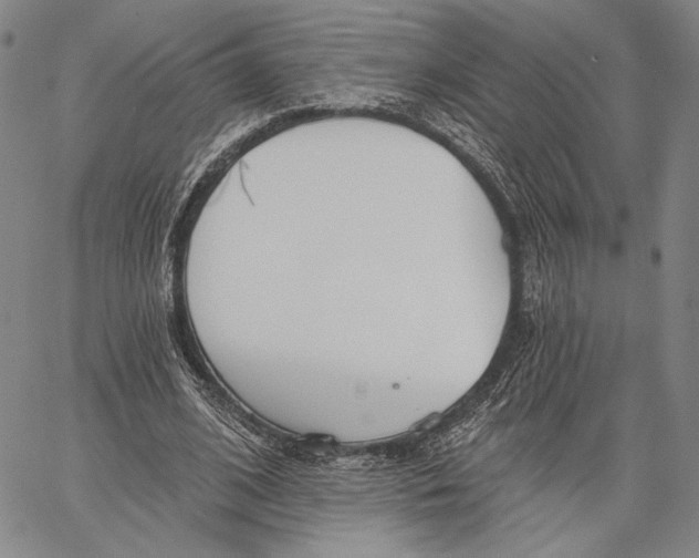 X0000067390584200604211636