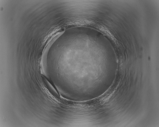 X0000067390585200604211636