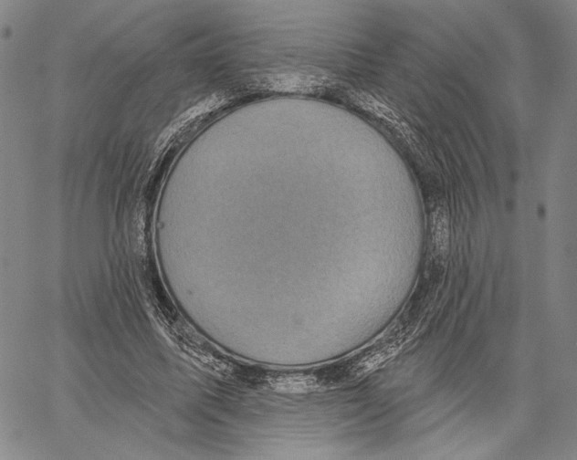 X0000067390587200604211636