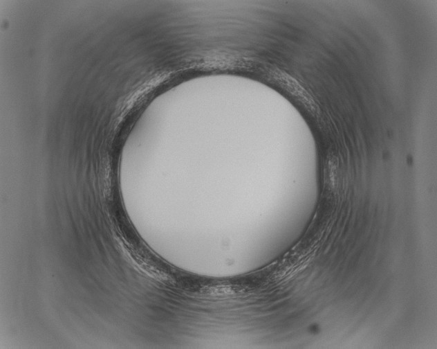 X0000067390588200604211635