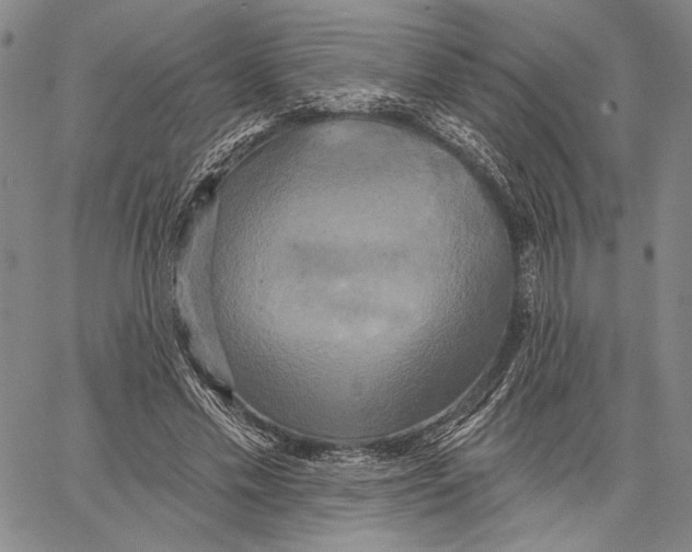 X0000067390589200604211635