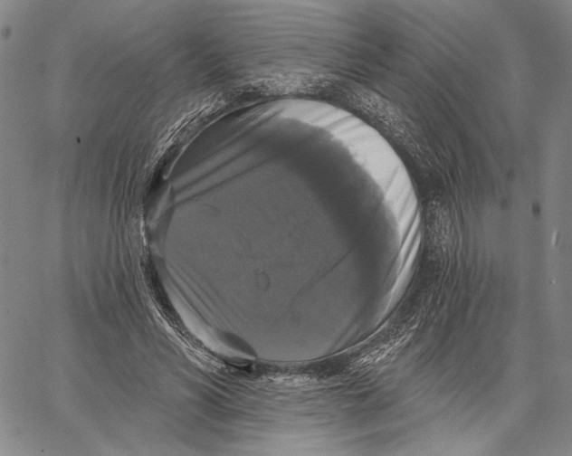 X0000067390590200604211635