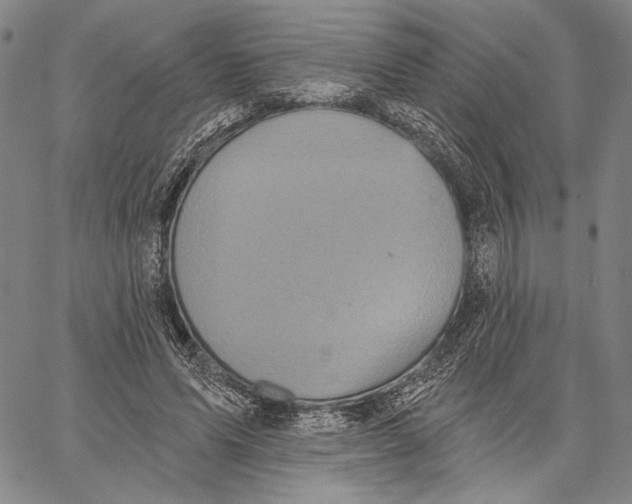 X0000067390591200604211635