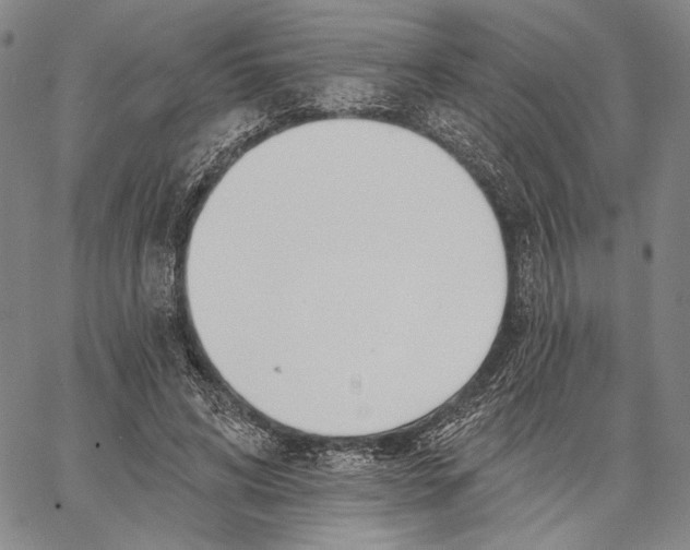 X0000067390592200604211635