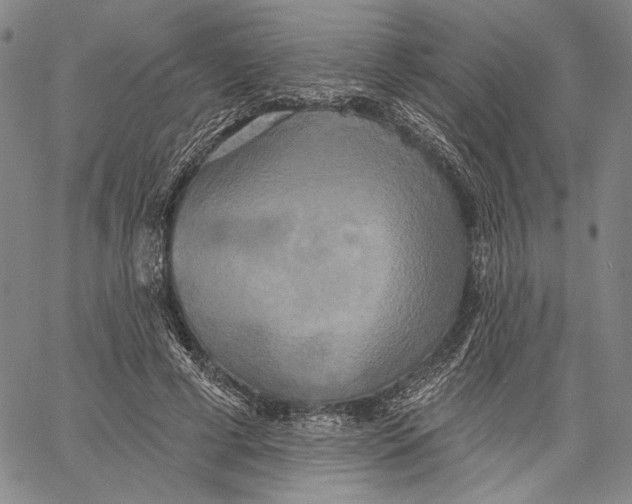 X0000067390593200604211635