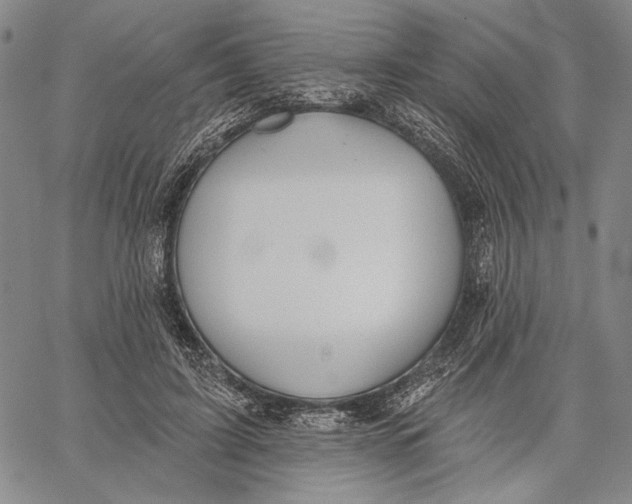 X0000067390595200604211635