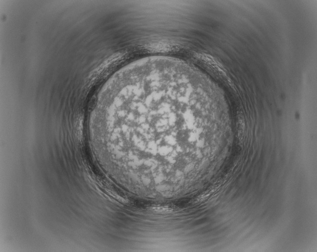 X0000067390596200604211635