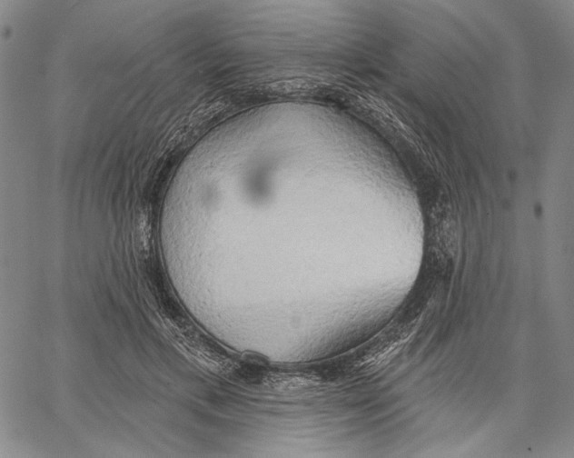 X0000067390597200604211635