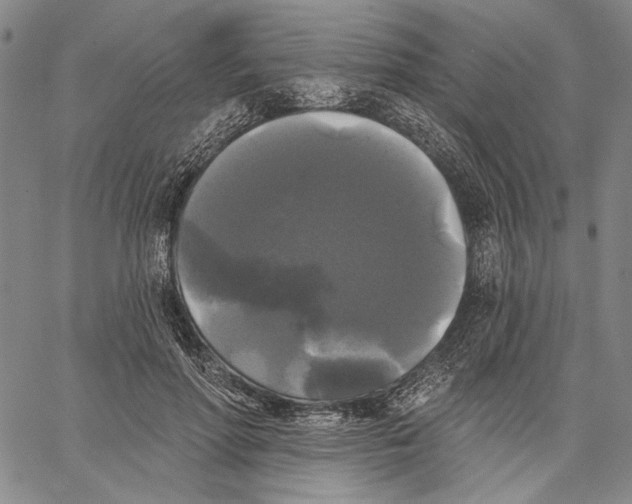 X0000067390598200604211635