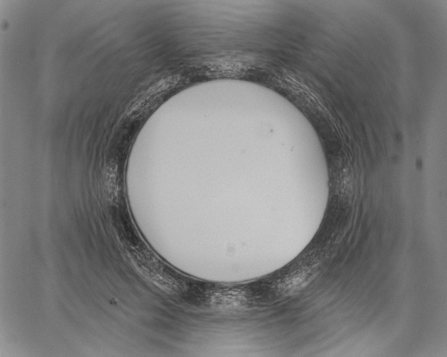 X0000067390599200604211635