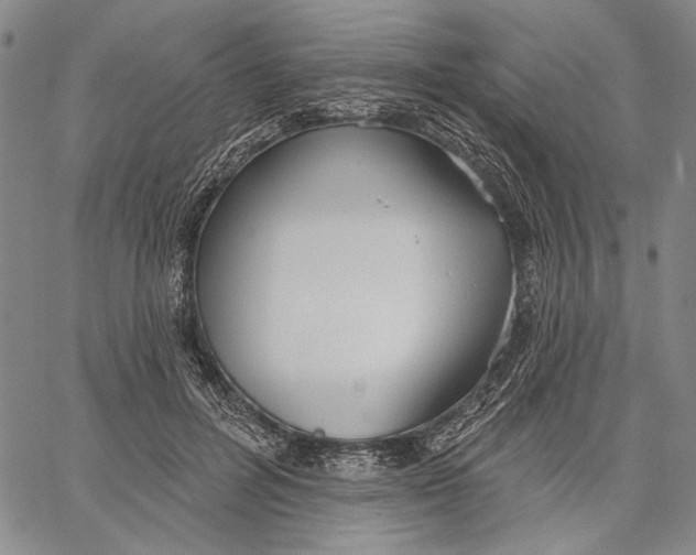 X0000067390600200604211635