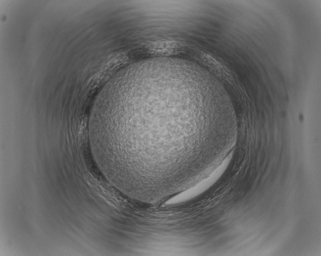 X0000067390601200604211635