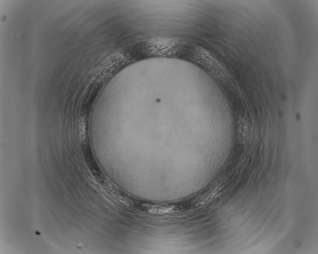 X0000067390602200604211635