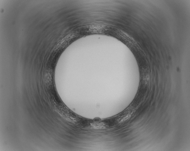 X0000067390603200604211635