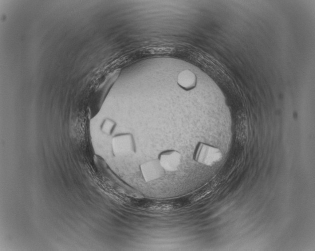 X0000067390604200604211635