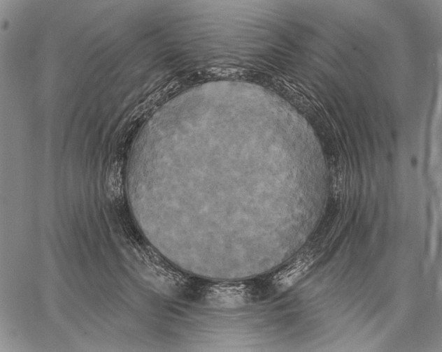 X0000067390606200604211635