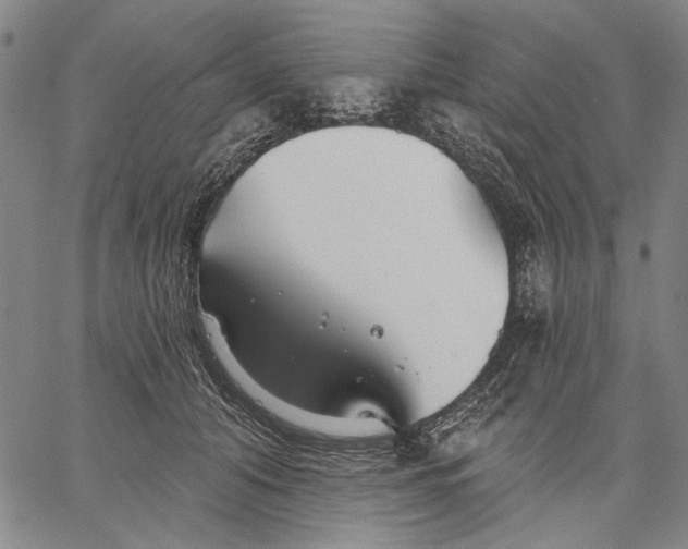 X0000067390608200604211635