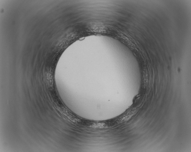 X0000067390609200604211635