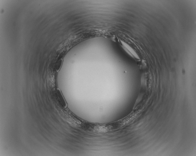 X0000067390613200604211635