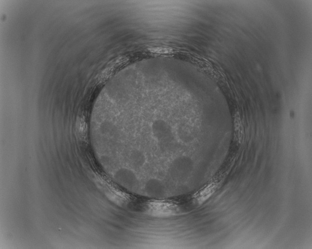 X0000067390614200604211635