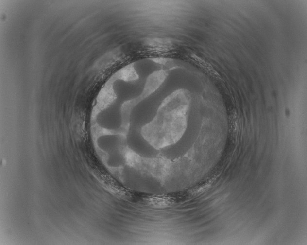 X0000067390615200604211635